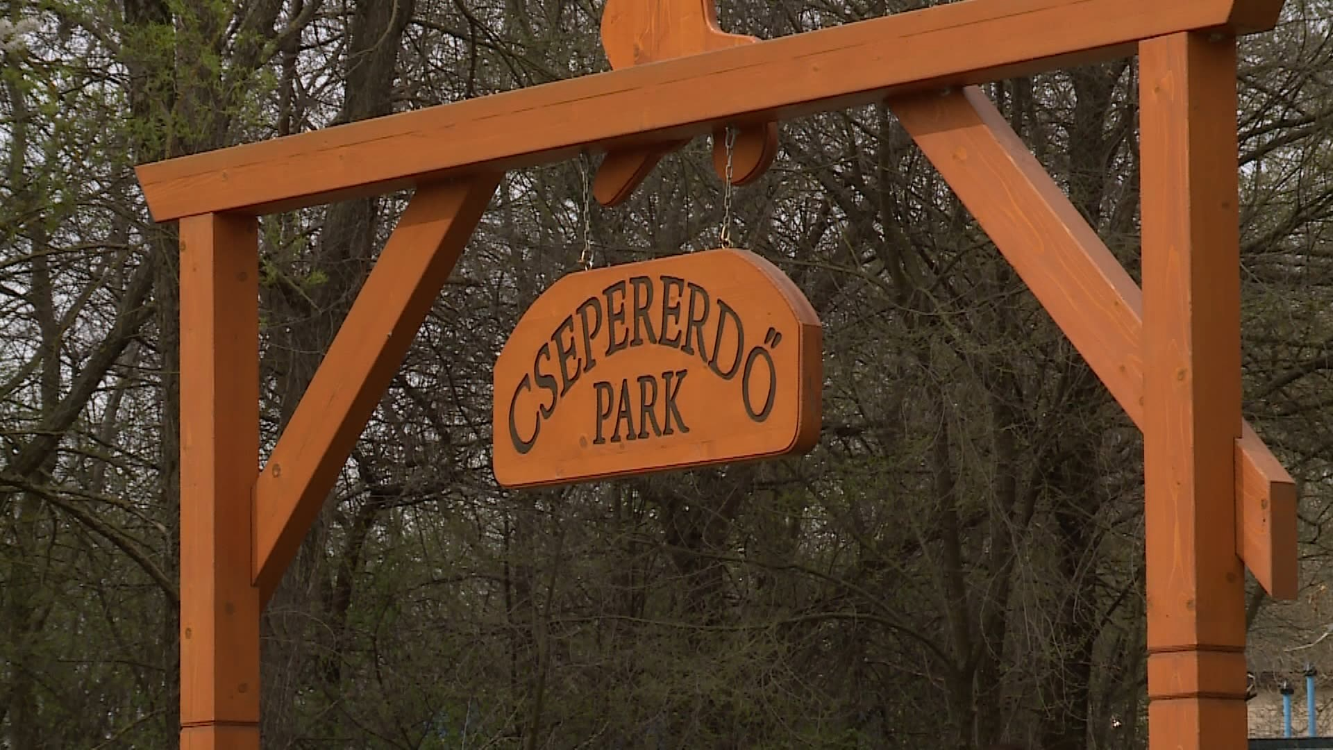 CSEPERERDŐ: MÁR NYOLC ÉVE ÜLTETIK A FÁKAT
