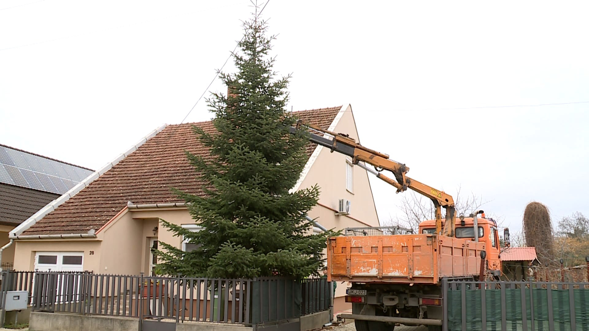 NYÍRBÁTOR KARÁCSONYFÁJA