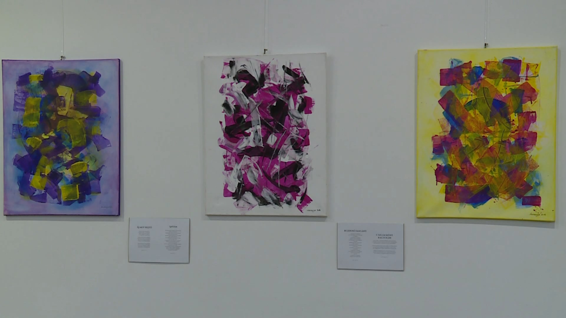 VÁROSI GALÉRIA: KIÁLLÍTÁSMEGNYITÓ A MAGYAR KULTÚRA NAPJÁN