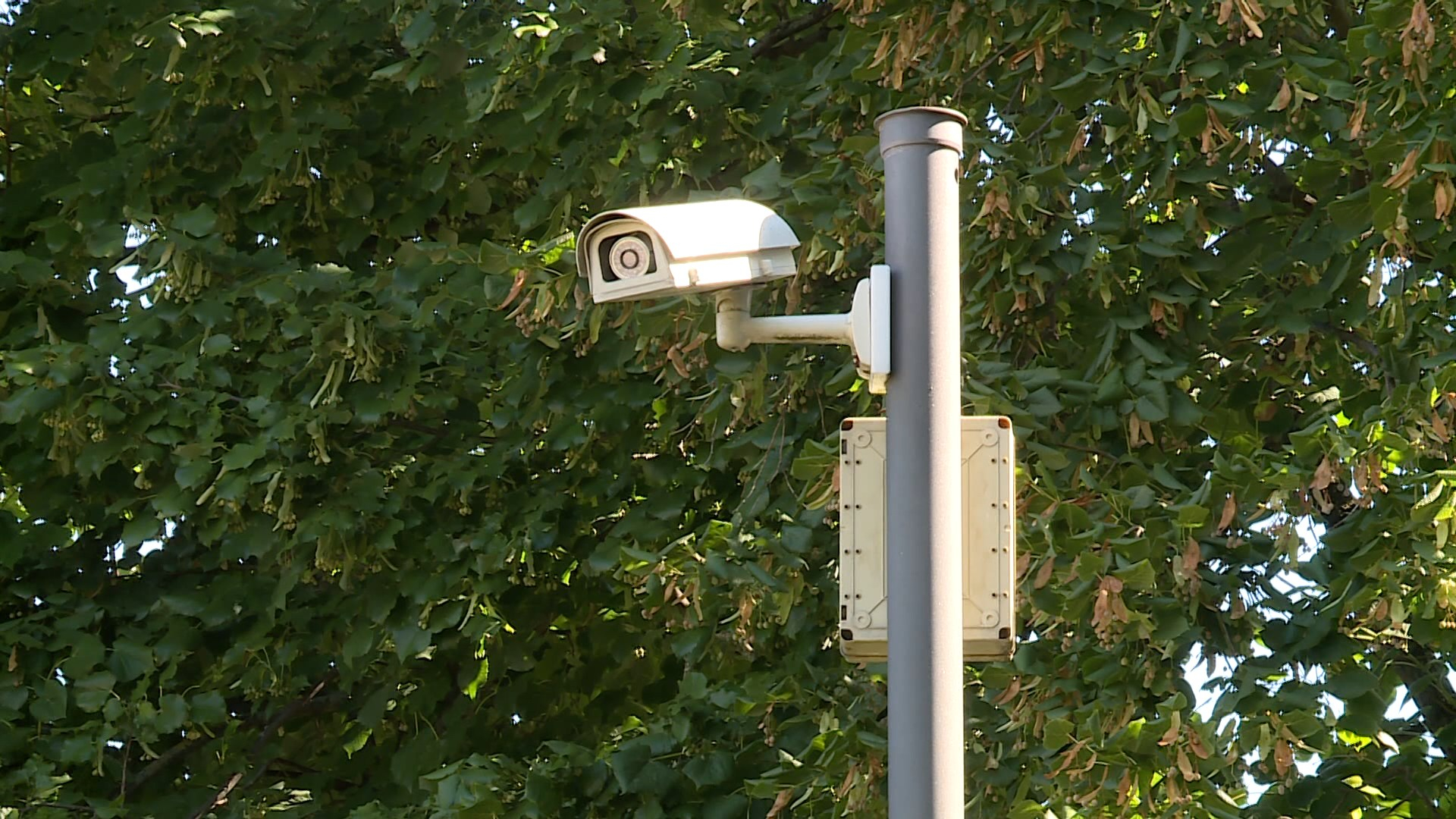 ISMÉT TOLVAJT FOGTAK A KAMERA SEGÍTSÉGÉVEL