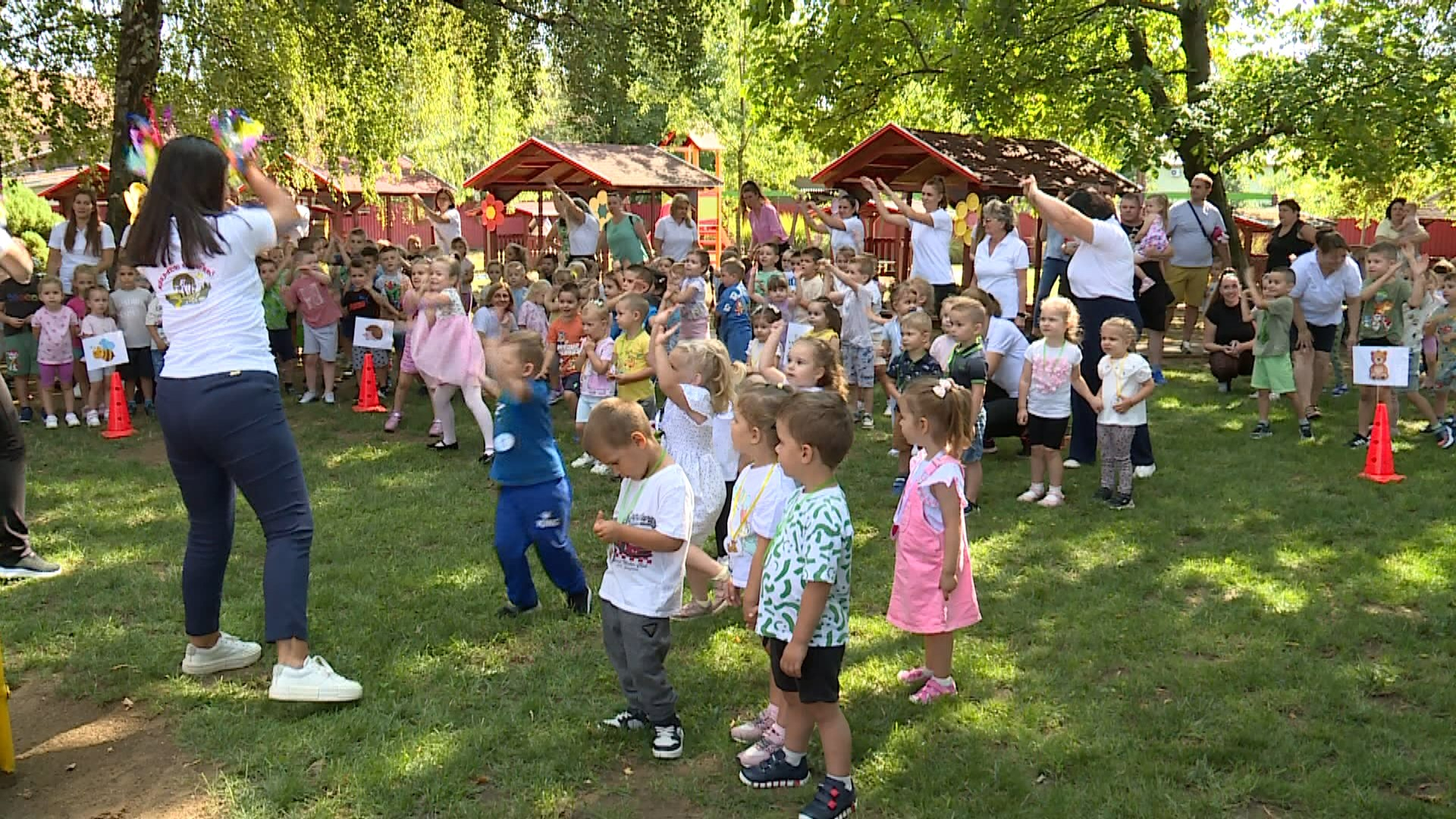 OVINYITOGATÓ A KEREKERDŐBEN