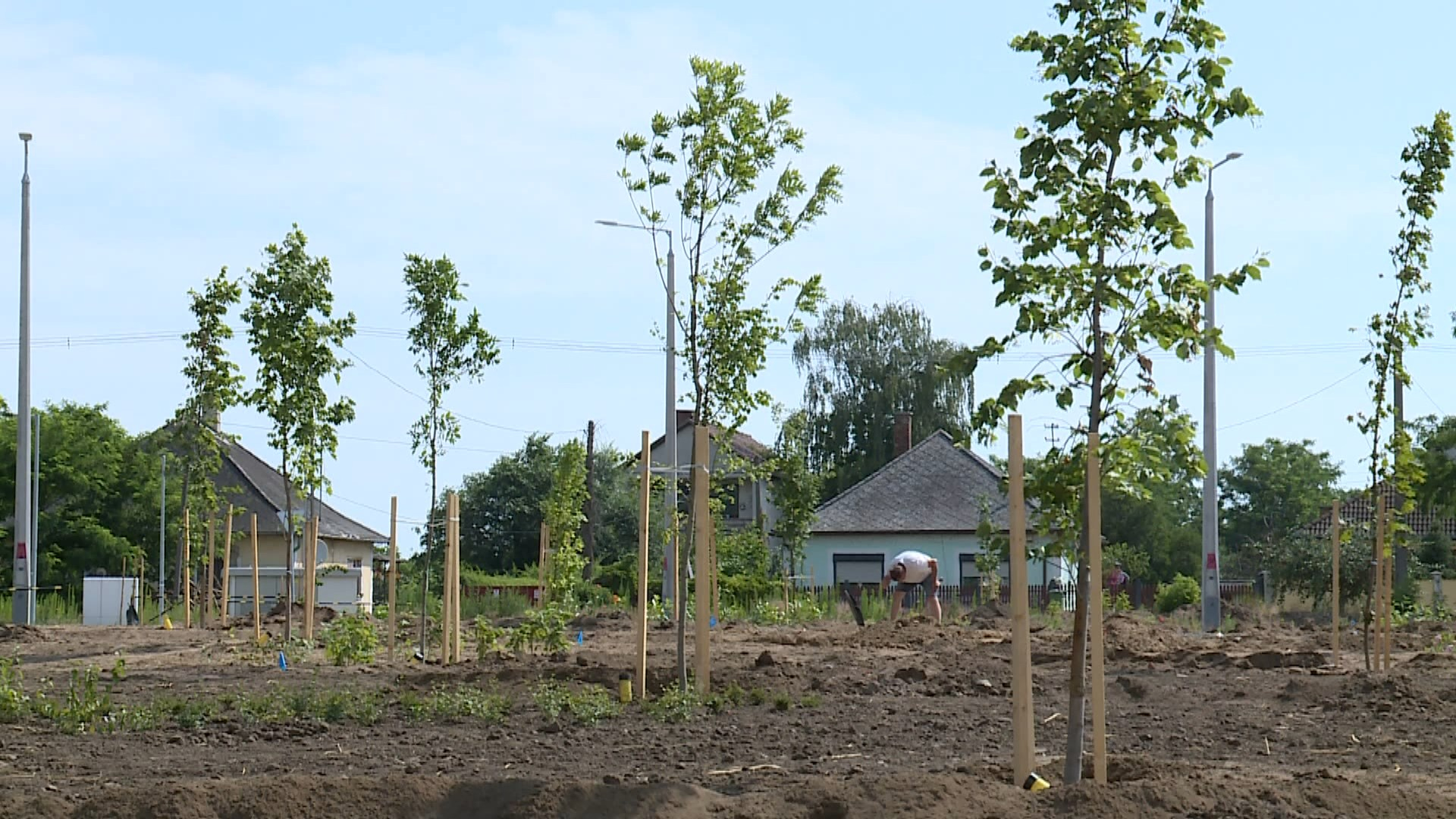  ZÖLD VÁROS PROGRAM: AUGUSZTUSRA ÚJ SÉTÁNY, ÚJ PARK